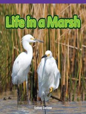 cover image of Life in a Marsh